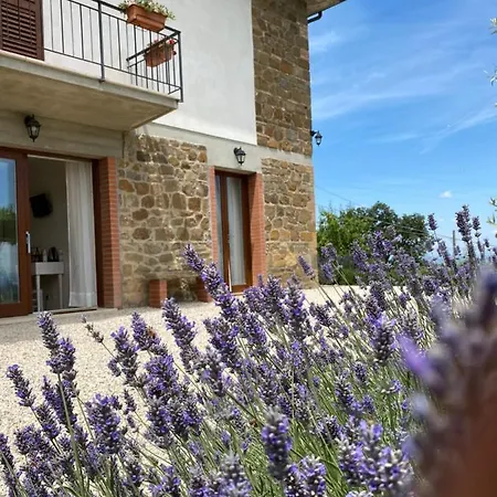 Апартаменты Podere Belsogno *